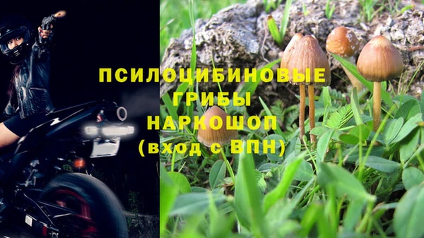 бутират Краснослободск