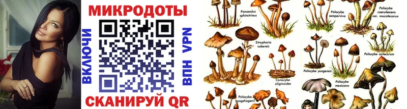 Галлюциногенные грибы Cubensis  Купить где  Рассказово 